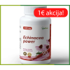 Ehinācijas sakne