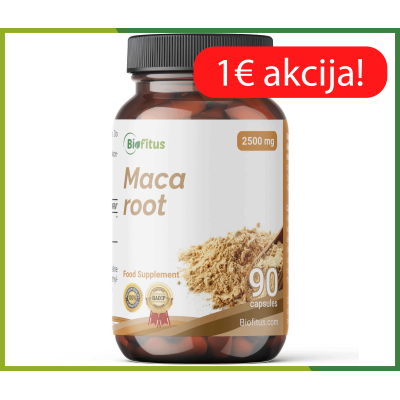Maca