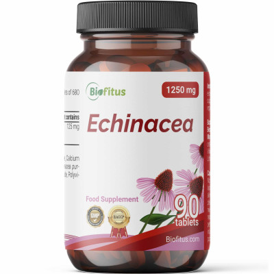 Ehinācijas sakne