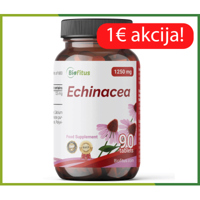Ehinācijas sakne