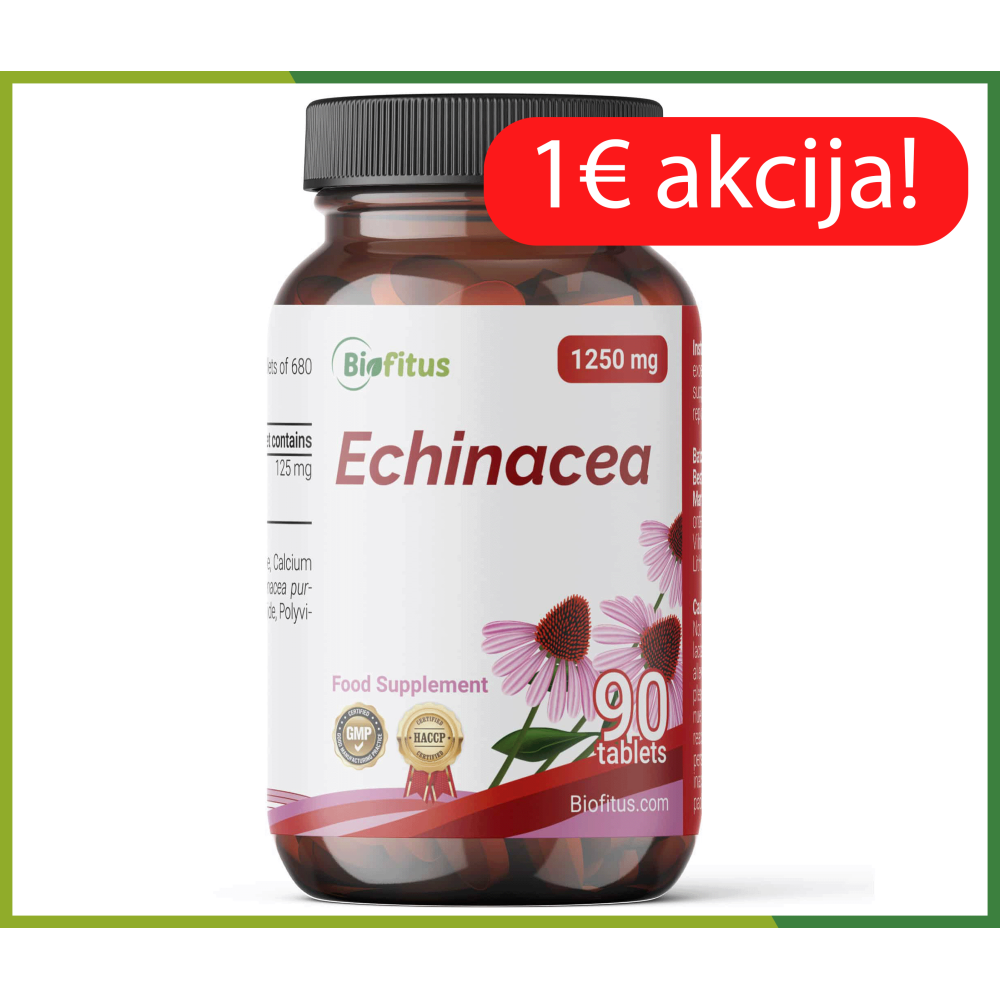 Ehinācijas sakne