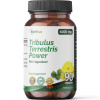 Tribulus terrestris 6000