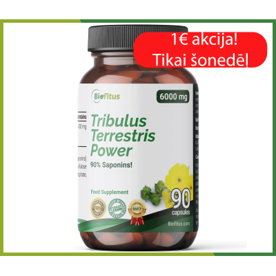 Tribulus terrestris 6000