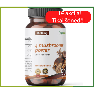 4 sēņu spēka