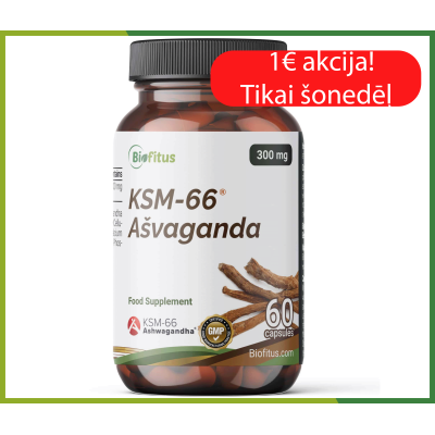 Ашваганда KSM-66 300 мг