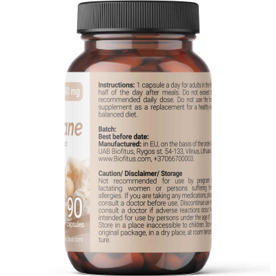 Ežu dižadatene ar Ginkgo ekstraktu